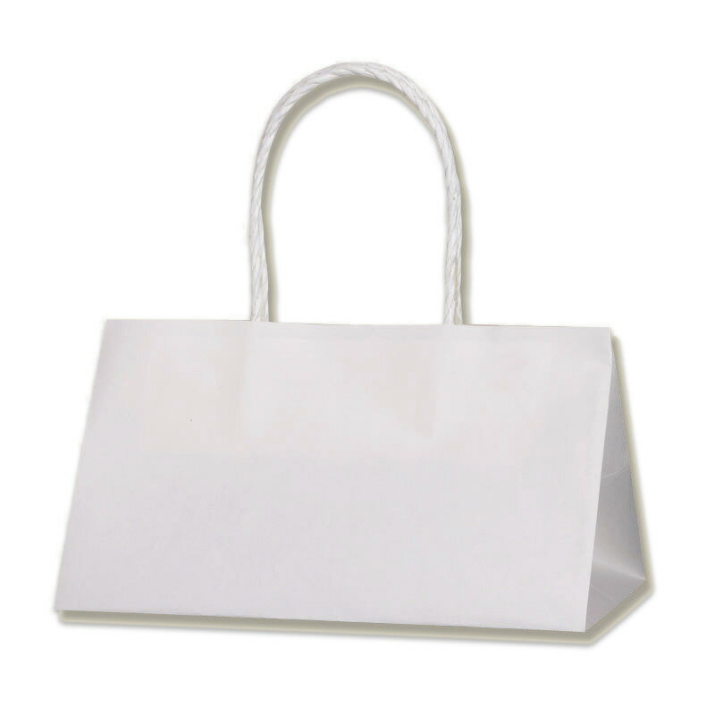 HEIKO 紙袋 手提げ紙袋 Pスムースバッグ 25-15 白無地 幅250×マチ150×高150mm 25枚入 ホワイト 業務用 ラッピング シモジマコード003155375