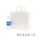 HEIKO 紙袋 手提げ紙袋 HフラットCB 300-1 (平手) 幅300×マチ220×高270mm 50枚入 業務用 ラッピング シモジマコード003277135