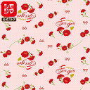 HEIKO ギフト 包装紙 半才 ハッピーカーネ 50枚 シモジマコード:002441000 母の日 ラッピング