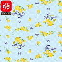 HEIKO ギフト 包装紙 半才 ハッピーローズ 50枚 シモジマコード:002441003 父の日 ラッピング