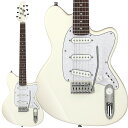 Ibanez ichi00専用ソフトケース付 カラー:VWM