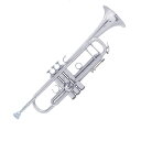 BbトランペットV.Bach AB190SP 【The Artisan Collection】(2)