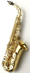 Alto SaxophoneYANAGISAWA A-WO10
