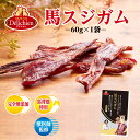 【訳あり】 賞味期限間近 デリシャン 馬スジガム 犬 おやつ 馬肉 ジャーキー 国産 背筋 保存料 香料 着色料 無添加 獣医師監修 デンタルケア 高タンパク質...