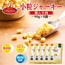 【訳あり】 賞味期限間近 デリシャン 小粒 ジャーキー 鶏ムネ肉 犬 おやつ 国産 保存料 無添加 グレインフリー 95g×5袋 獣医師監修 高タンパク質 低カ...
