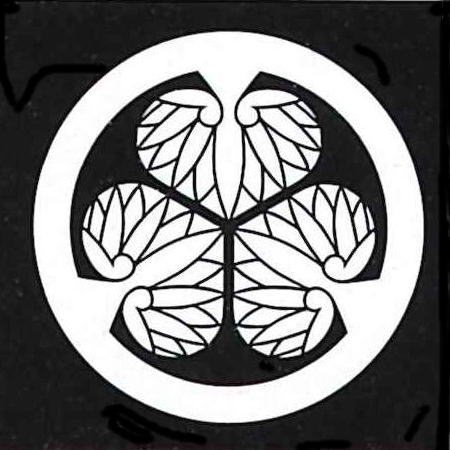 櫓֥᡼ȯ250Ž桡35ݤ˻İ桡4cm3祻åȡ楷롦ĥ桡ʪʪѡŽ桡3ȡ륿ס...