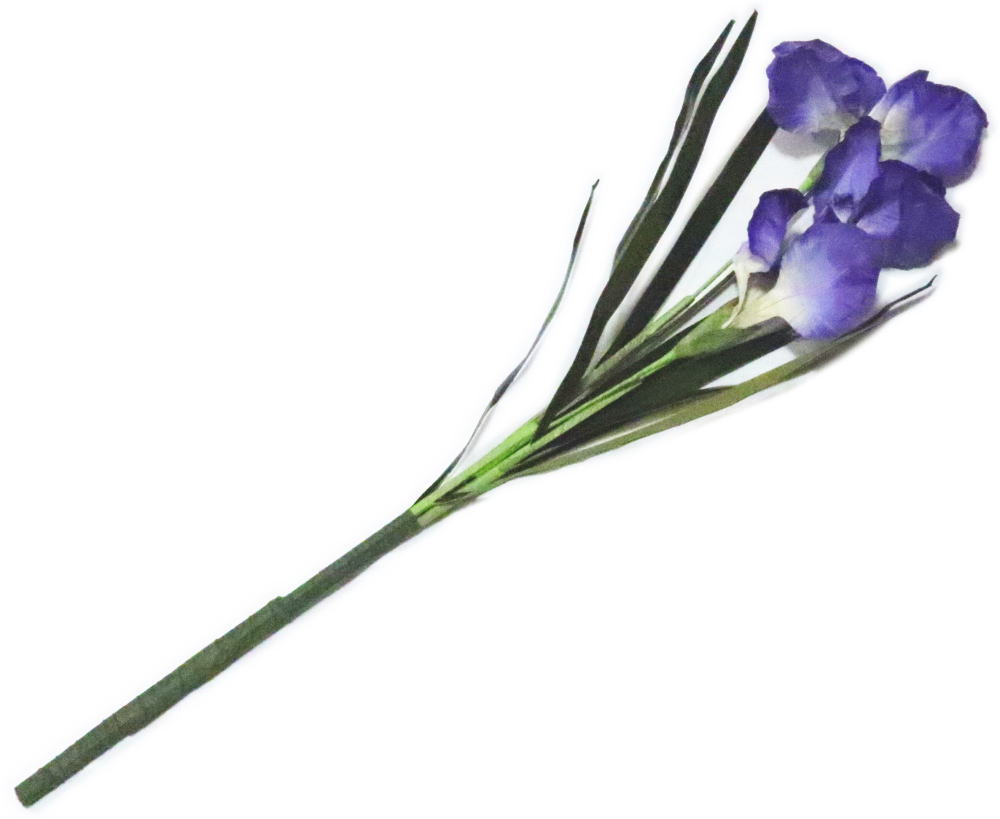 持枝　菖蒲　全長約70cm　紙【踊り用小道具】日舞 日本舞踊 舞台 持ち枝 演劇 おどり 飾り 時代劇 造花..