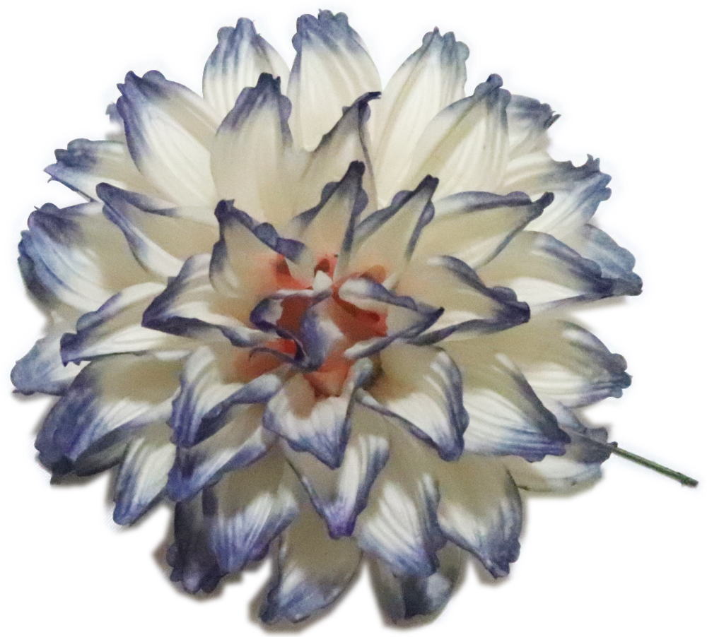 ダリア　パープルボカシ　直径約10cm　紙【踊り用小道具】日舞 日本舞踊 舞台 持ち枝 演劇 おどり 飾り..