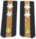 わけあり 旧日本軍 海軍 肩章 尉官 中尉 階級章【ゆうパケット発送OK】コスプレ 撮影 時代劇