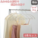 【10日限定!抽選で100%Pバック】【レビュー特典付き】 送料無料 キャミソールハンガー 6本セット ハンガー キャミソール 下着 衣類掛け 衣類ハンガー ステンレス 3kg 型崩れ 防ぐ 収納 衣類 クローゼット 押入れ かわいい 霜山