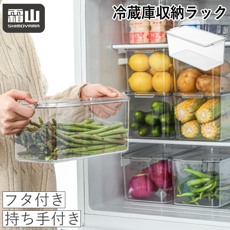 レビュー特典付き 冷蔵庫 収納ラック 収納ボックス 収納ケース 持ち手付き 納豆パック 豆腐 トレー 収納 整理 野菜 果物 食材 透明 冷蔵庫収納 収納用品 冷凍庫 キッチン収納 ボウル 調味料入れ 霜山のサムネイル