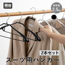 スーツ用 ハンガー 2本 セット すべらない クローゼット 収納 頑丈 スーツ シャツ スラックス ボトムス ジャケット 型崩れ防止 コート メンズ 紳士用 レ...