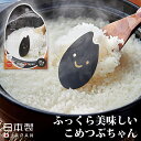 【未使用】【中古】スケーター 電子レンジ炊飯器 ご飯メーカー 1合 スノコ付 モダントーンブラック UDG1