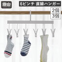 6ピンチ 小物干し 直線ハンガー 2個セット 3個セット ハンガー 物干し 洗濯用品 物干しハンガー 室内物干し 部屋干し 洗濯 ランドリーグッズ 収納 クロー...