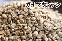 下山珈琲★ガヨ マウンテン★コーヒー豆 増量250g