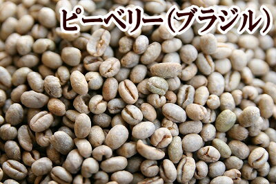 下山珈琲★ピーベリー（ブラジル）★コーヒー豆 増量250g