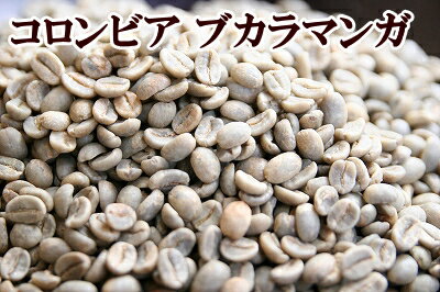 下山珈琲★コロンビア ブカラマンガ★コーヒー豆 増量250g