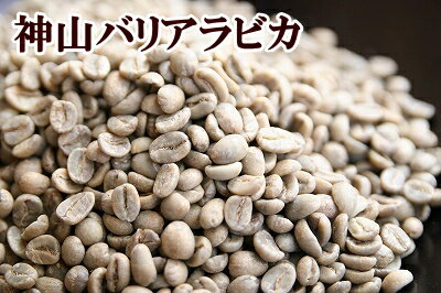 下山珈琲★神山バリアラビカ★コーヒー豆 増量250g