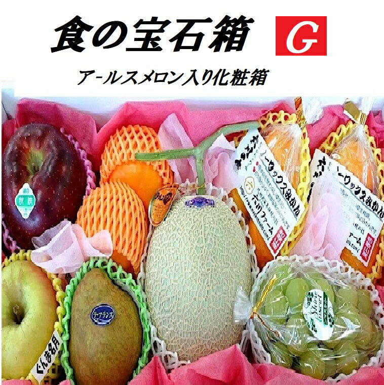 フルーツ ギフト　果物 ギフト 食の宝石箱【G】 プレミアボックス 化粧箱 メロン ぶどう 他季節の果物..