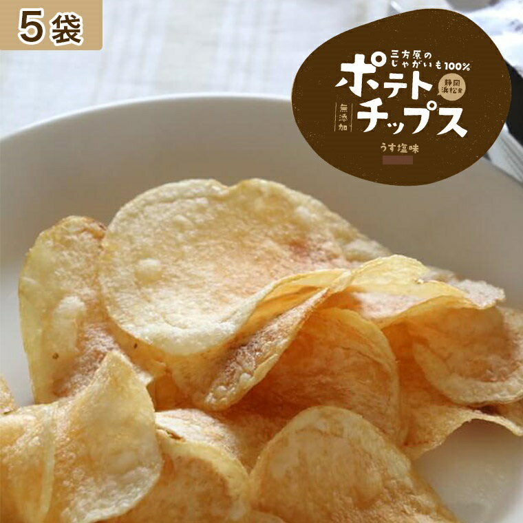 ポテトチップス 5袋うすしお　無添加静岡県産 三方原馬鈴薯100%1袋100g入り送料無料 父の日 つまみ　景品　お菓子 詰め合わせ 送料無料 イベント スナック菓子 大袋菓子のサムネイル