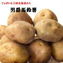 北海道じゃがいも【男爵】約3Kg箱 L・2Lサイズ指定じゃがバター・ポテサラ・コロッケ・期間・数量限定送料無料