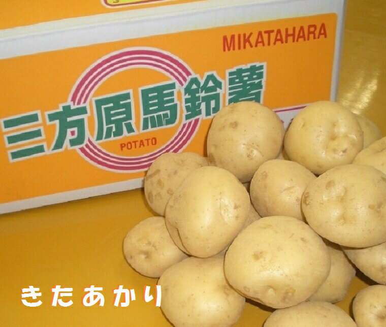 【こだわり野菜】静岡県三方ヶ原みかたがはら馬鈴薯【北あかり】じゃがいも約3K箱　お取り寄せグルメ　送料無料　産地厳選　新じゃがいも【こだわり野菜】静岡県産ホクホクの馬鈴薯をお届けします。6月上旬頃から予定