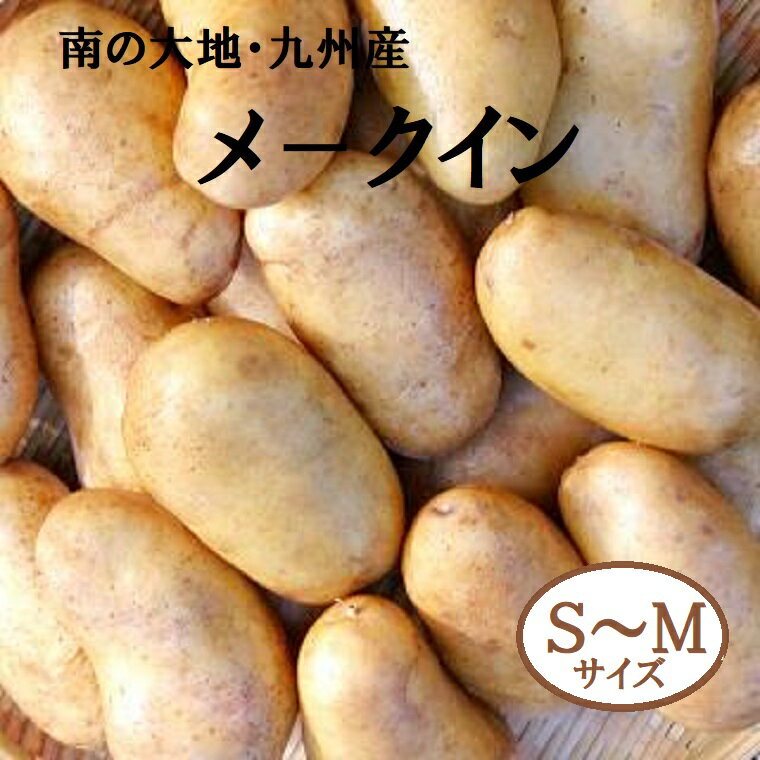 南の大地・九州産【新メークイン】S-Mサイズ約3kg送料無料 芋煮　肉じゃが　カレー　シチュー　コロッ..