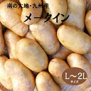 春野菜【新メークイン】L-2Lサイズ 約1kg 3kg 5kg 10kg 南の大地・九州長崎・鹿児島送料無料 芋煮 肉じゃが カレー シチュー コロッケ 色々なお料理に