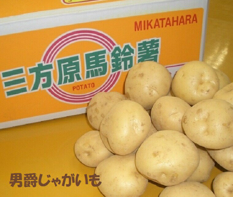 送料無料　産地厳選　新馬鈴薯【こだわり野菜】静岡県産三方原ジャガイモ【男爵】約5K箱　この時期しか..