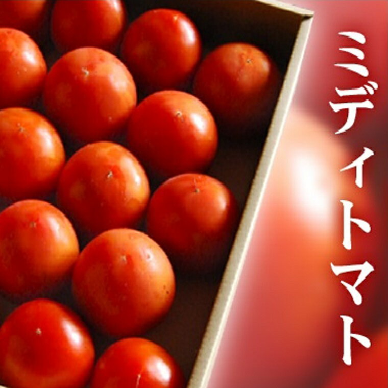 【送料無料】産地こだわりトマト　福井県勝山産【華ロイヤルトマト】フルーツミディトマト1．3〜1．5K化粧箱噛み締める毎に甘味が広がります！！