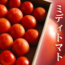 群馬県産ブリックスナインフルーツトマト約1K箱【送料無料・クール便】