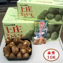 福井県特産上庄サトイモ約10K化粧箱《赤秀2L》越前大野の清らかな水と澄んだ自然に囲まれて育った里芋 ...