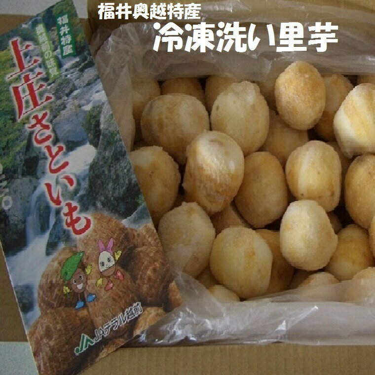 送料無料【冷凍】福井県特産　洗い里芋秀品約5K箱 芋煮会・芋煮・煮物【業務用】