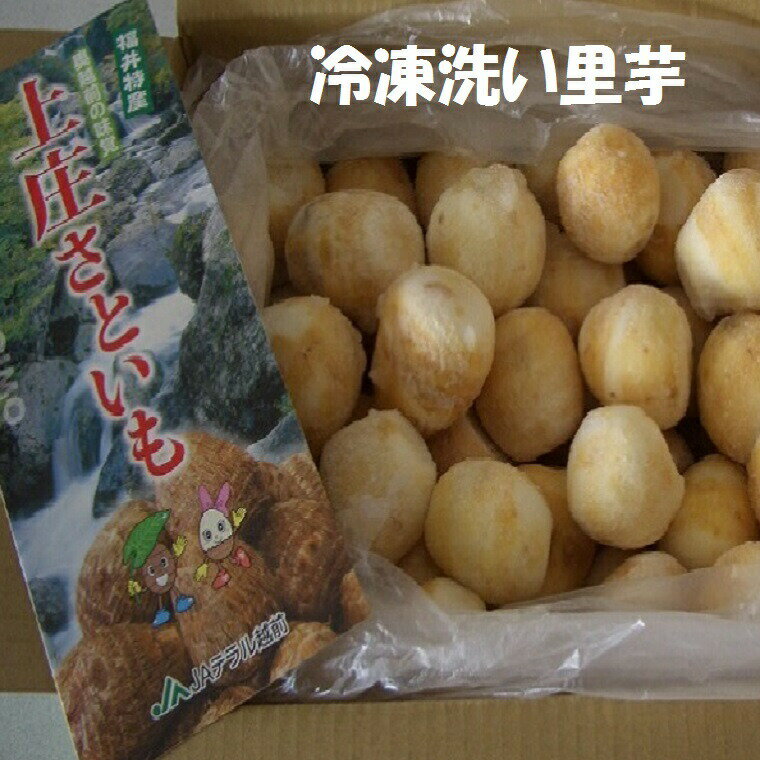 【冷凍】福井県特産上庄洗い里芋秀品約3K箱 送料無料 冷凍里芋