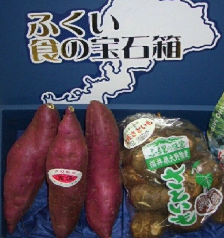 【秋冬ギフト】期間限定　福井からのお取り寄せ！【福井の特産品セット】越前 ふくい 食の宝石箱【A-4..