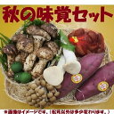 秋の味覚セット松茸150gと秋のお勧め野菜果物セット⇒【送料無料-クール便】