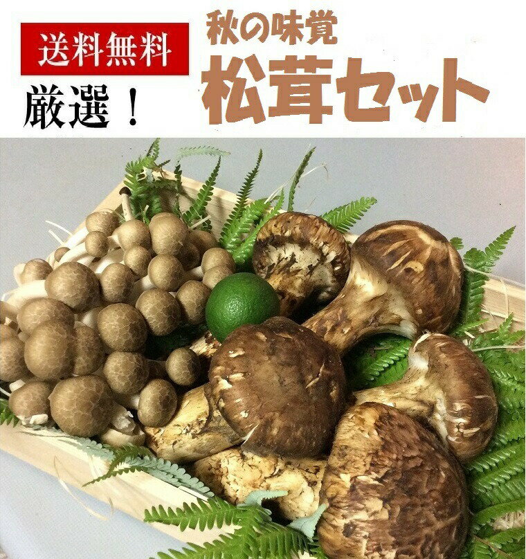 松茸としめじのキノコセット《スダチも2個入り》【送料無料-ク−ル便】7月下旬から発送予定