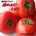 越のルビートマト200g× 6P 8P 12P入り化粧箱 福井県産 真赤な宝石!【コシノルビ-トマト】フルーツミディ【送料無料ク-ル便噛み締める毎に甘味が広がります!!フル-ツトマト プレゼント 母の日