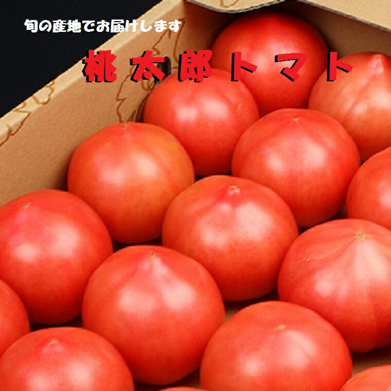全国お取り寄せグルメ福井野菜・きのこNo.30