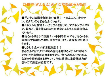 【銀杏】【生ぎんなん】大粒約100g入り×10パック殻付きギンナン⇒送料無料