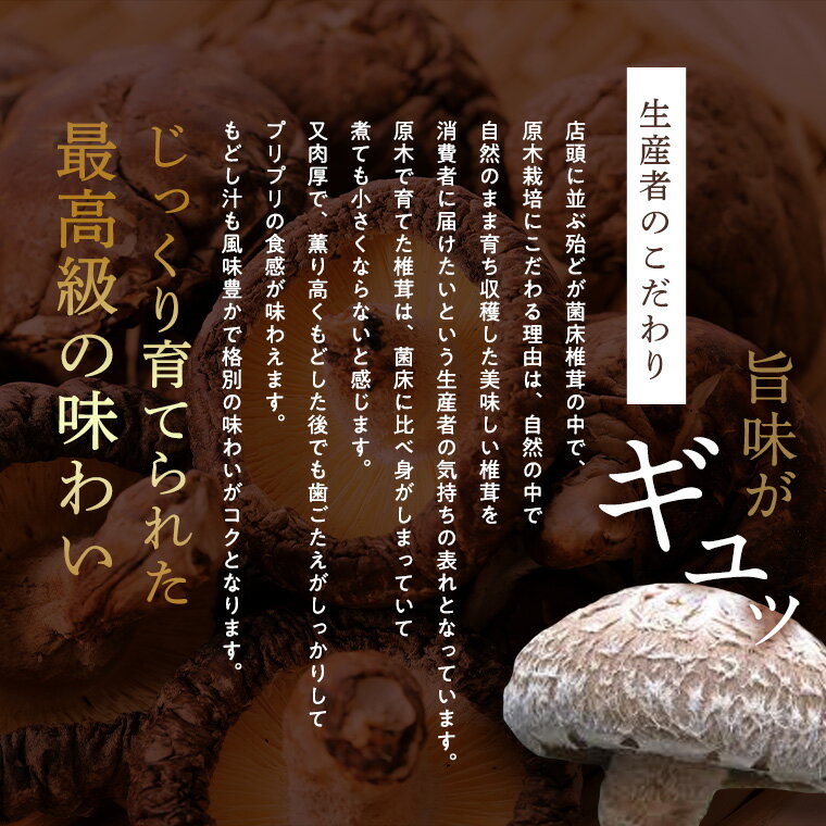 【日本の味】こだわりの原木育ち　越前干ししいたけ　120g入り　1袋　3袋　5袋　福井県産　原木椎茸　普段の煮物にこれだけで料亭の味・あじわい.　煮物　丸干し　お正月食材 　乾燥シイタケ　きのこ キノコ 茸 しいたけ 椎茸　希少ブラ乾⇒送料無料