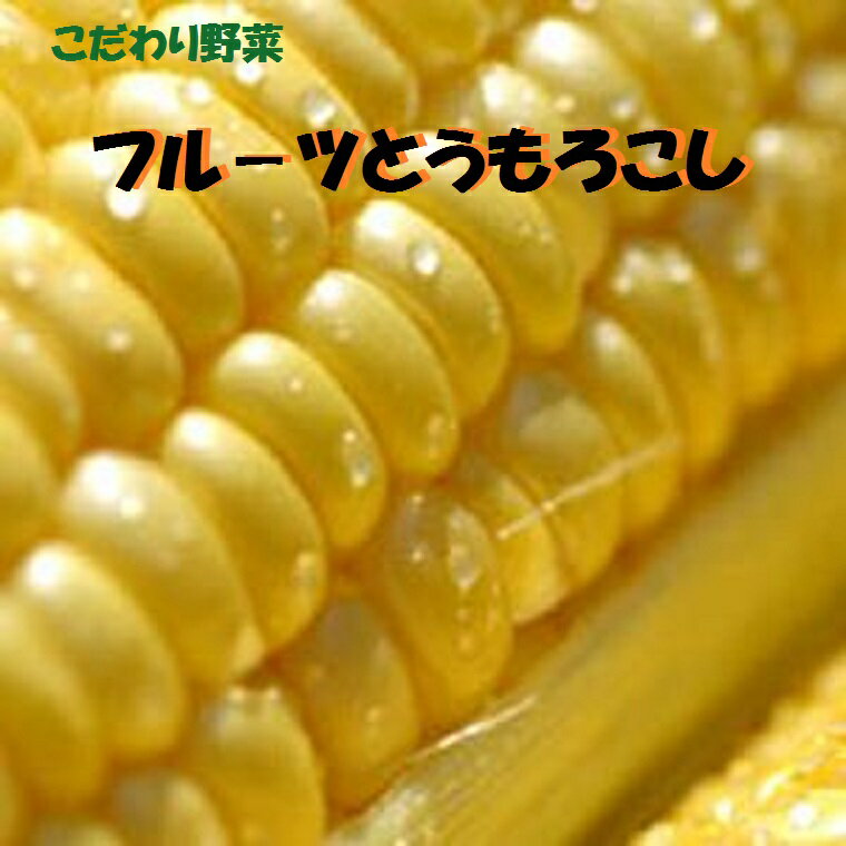 とうもろこし こだわり！フルーツとうもろこし 2Lサイズ5本箱フルーツとうもろこし 恵味 味来 サニーショコラ ゴールドラッシュ 甘甘娘 等々 生食を前提にして作られたトウモロコシ!旬の時期に旬の品種を噛み締める毎に甘味が広がります！！: