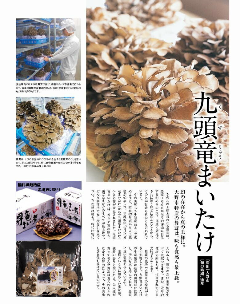 あじげん　ごぼうチップス 55g入
