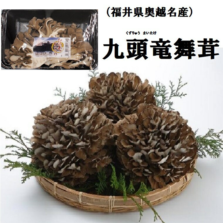 九頭竜【くずりゅう】まいたけ（福井県奥越名産）約100gパック×5パック入り舞茸・きのこ・低カロリー・特産品⇒送料無料　鍋商材　すき焼き　スパゲティ　炊き込みご飯のサムネイル