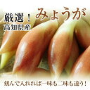 高知県産みょうがたっぷり!約1kg入り今なら甘酢1袋も付いています! 高知県産みょうがたっぷり!約1kg入り今なら甘酢1袋も付いています!