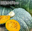 送料無料 国産南瓜【5-7玉1ケース箱】 北の大地から南までえびすかぼちゃ 栗かぼちゃ 西洋かぼちゃ なんきん