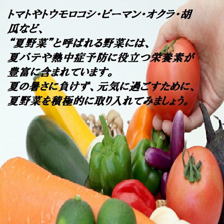 送料無料　お家でマルシェ！夏野菜セット（トマト・ナス・トウモロコシ・アスパラガス・ピ－マン・みょうが・胡瓜・ズッキ－二・オクラ・等々）中身 おまかせ 厳選 約2K入りの7品以上お試し 【主婦の味方】大切な家族の健康に安全な野菜を美味しく味わう！