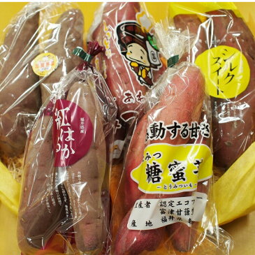 ★3種類のさつま芋食べ比べセット《福井とみつ金時さつまいも・シルクスィ-ト・糖蜜芋・紫芋・石川五郎島金時さつまいも・紅はるか・べにあずま等の中から3種類厳選計約1.5K箱11月下旬ごろから