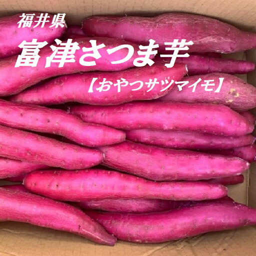 電子レンジでチン!福井県あわら特産*《おやつサツマイモ約5K箱》細くて食べやす〜い!子供のかわいいお手手にも!!送料無料 電子レンジでチン!福井県あわら特産*《おやつサツマイモ約5K箱》細くて食べやす〜い!子供のかわいいお手手にも!!送料無料