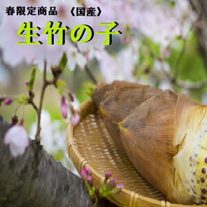 国産生たけのこ【徳島・三重桑名・福岡他】選りすぐり【2本入り】（サ−ビス糠付き）4月初旬頃から予定新筍送料無料